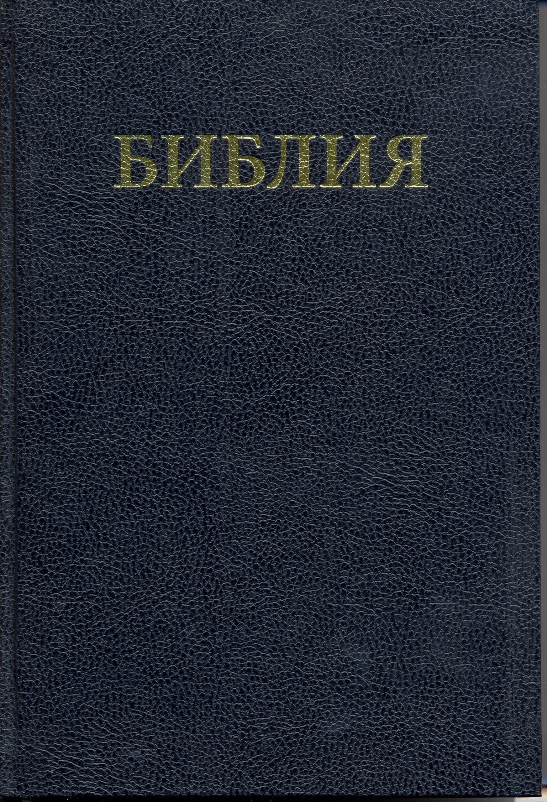 Bible Large print (10.5 point) (6.1x8.9")